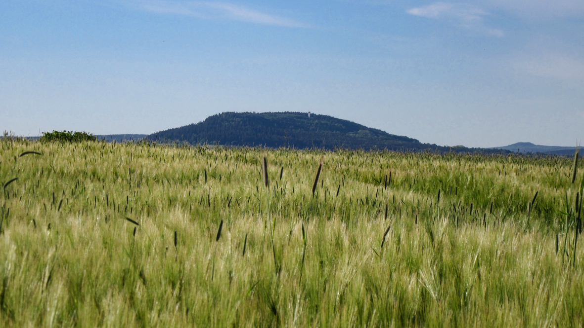 Der 832 Meter hohe Pöhlberg (hier aus Richtung Chemnitz kommend gesehen) ist eine gute Orientierungshilfe im Annaberger Raum. Foto: Chris Bergau