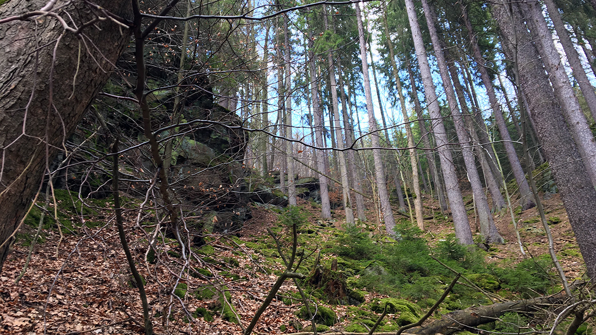 Steile Hänge beim Wolkenstein im Zschopautal. Foto: Chris Bergau