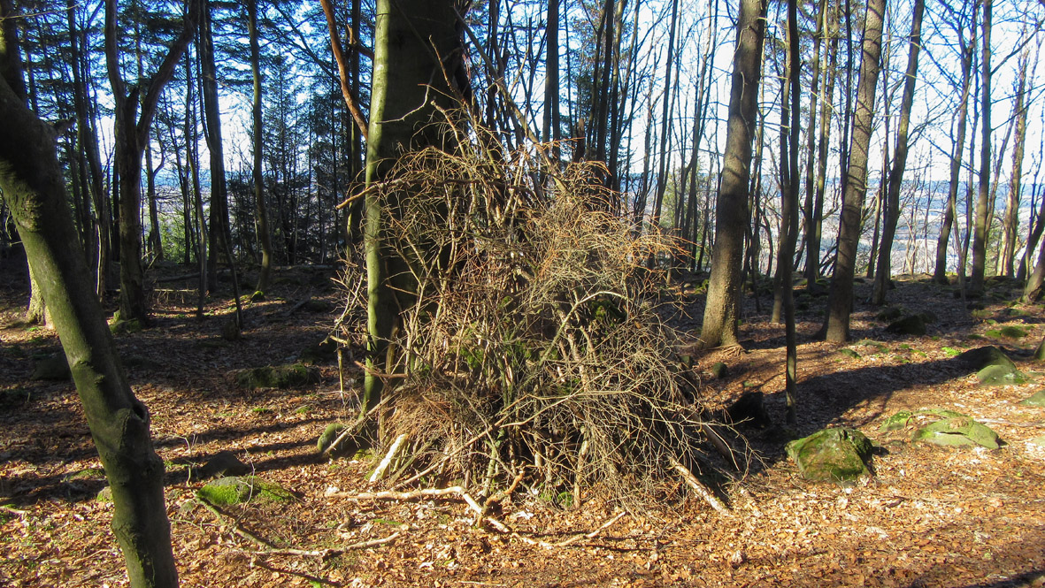 Eine schnelle Variante, sich ein Shelter zu bauen. Foto: Chris Bergau