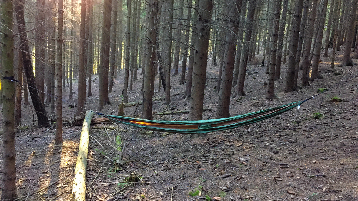 Mit der Hängematte im Wald. Foto: Chris Bergau