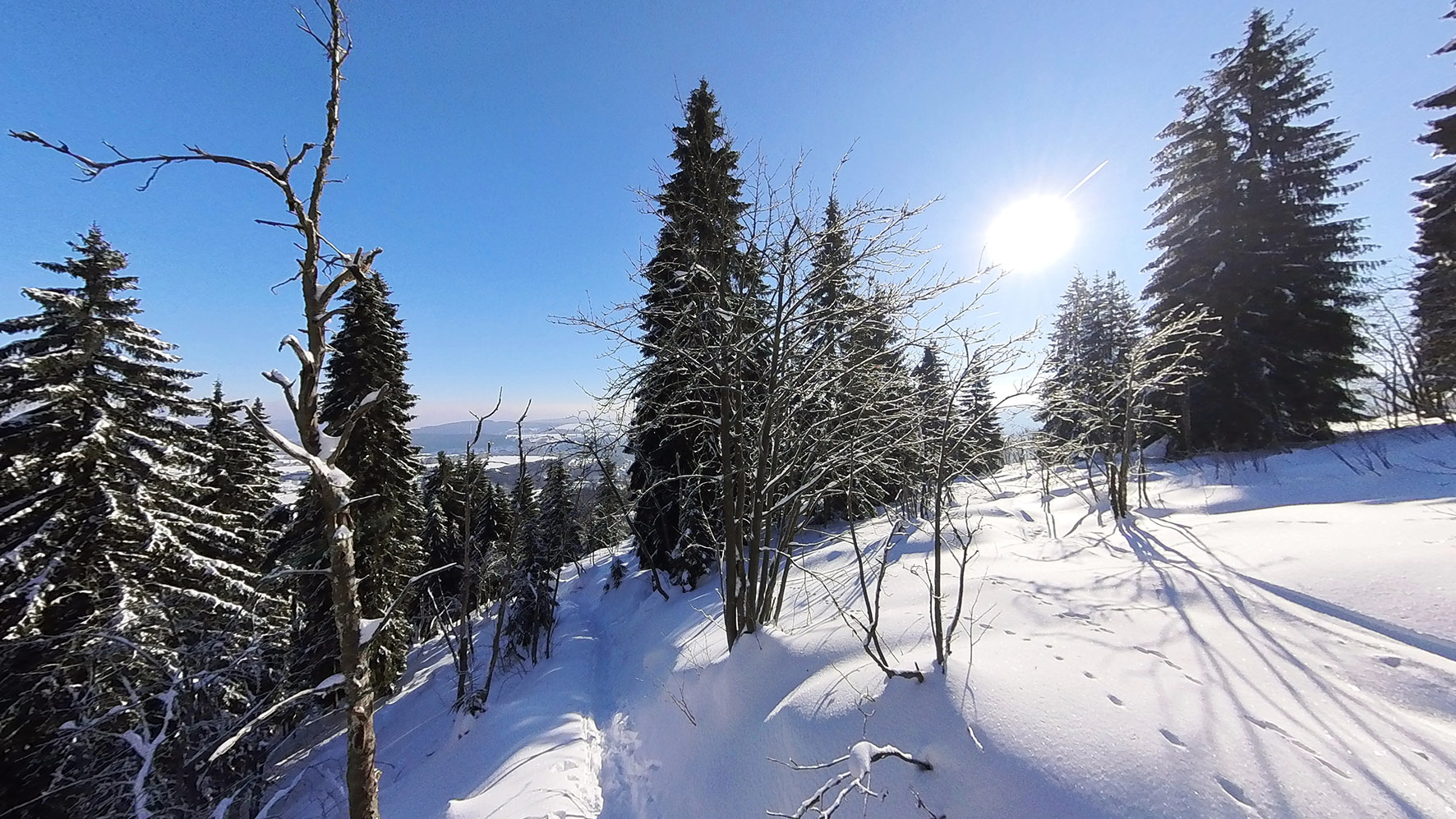 Der Schönjungferngrund in Kuort Oberwiesenthal. Foto: Chris Bergau