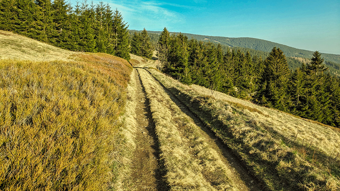 Der alte historische Kammweg bei Boží Dar (Gottesgab) im böhmischen Teil des Erzgebirges. Foto: Chris Bergau