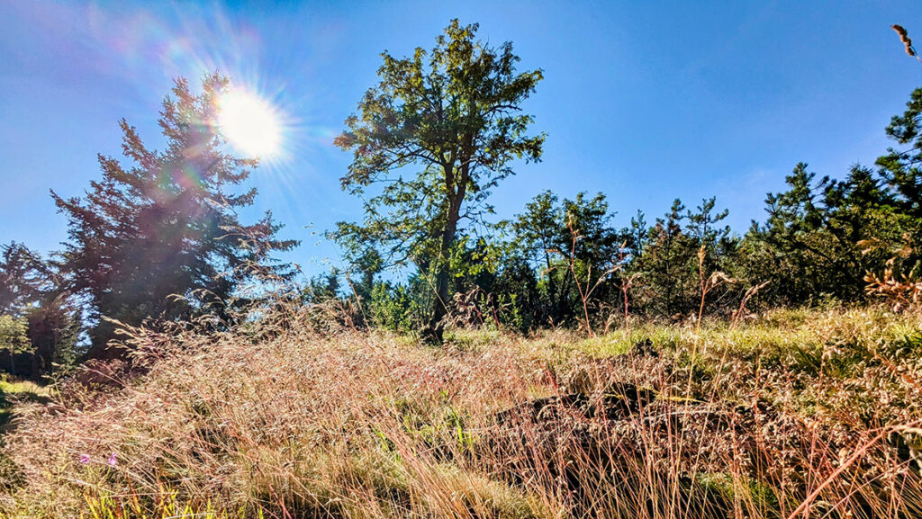 Errzgebirgslandschaft am Fuße des Fichtelberges. Foto: Chris Bergau