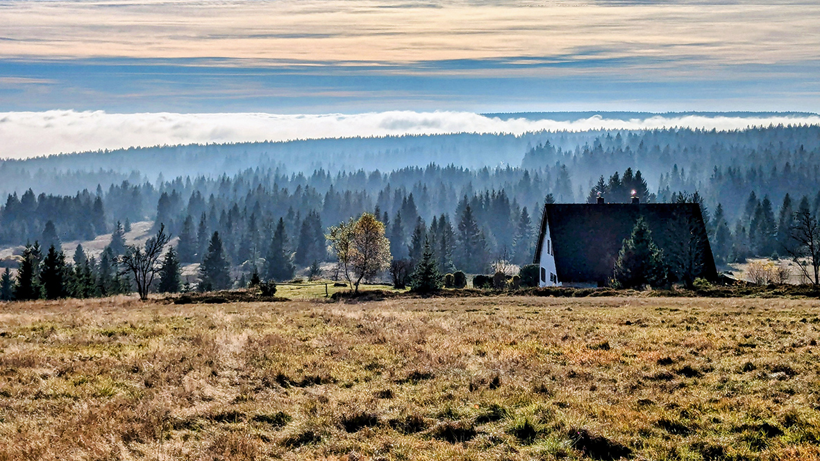 Herbstlandschaft in der Nähe der Roten Grube. Foto: Chris Bergau